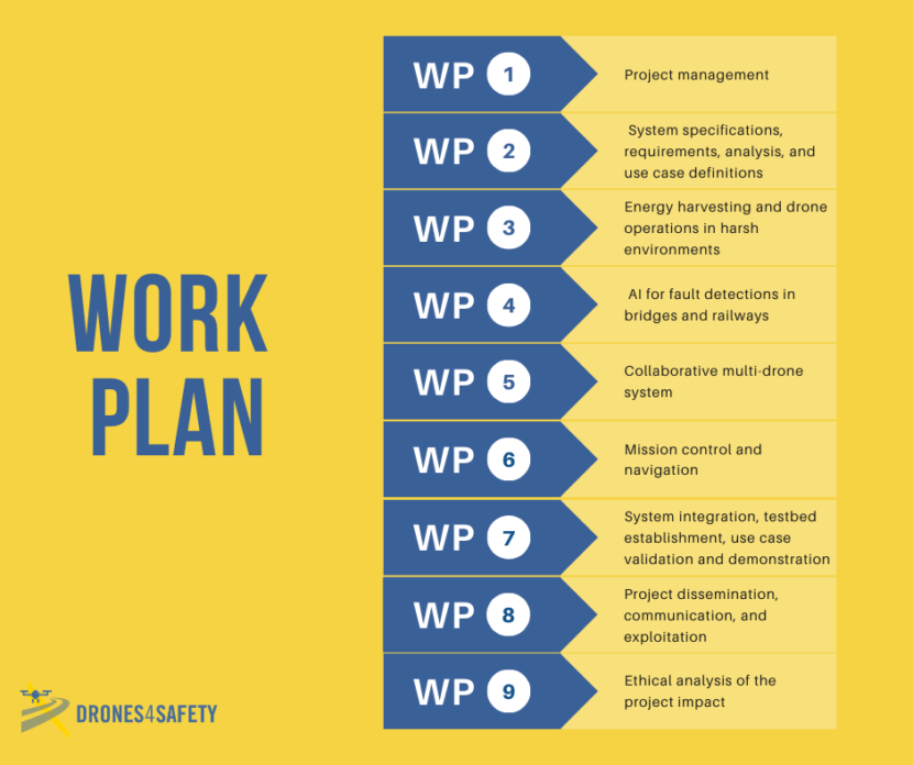 D4S Work Plan
