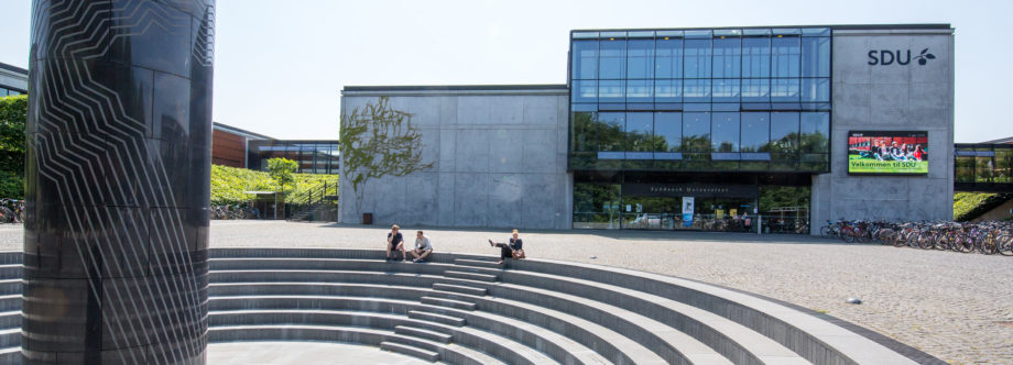 IMADA SDU